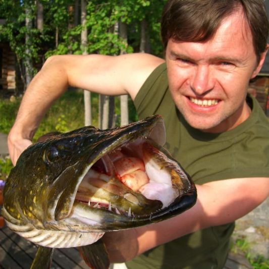 Kaidan Kiho haukisaalis